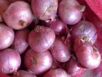 FRESH RED AND YELLOW ONION