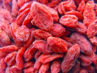 Top Quality Dried Goji Berries