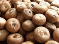 Quality processed dried Betel Nuts for sale at very good prices