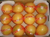 Fresh Honey Pomelo