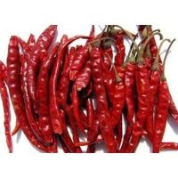 High Quality Dried Red Chilli Pepper