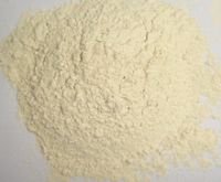 GINGER POWDER IN HIGH QUALITY