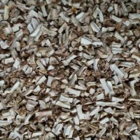 Dried Shiitake Mushroom Dices from Dried Shiitake Stem
