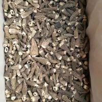 Cap 3-5CM Dried Morels Mushroom with Fully Clipped Stem