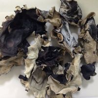 Non-Washed Dried White Black Fungus Mushroom