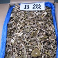 Bulk Dried Funghi Porcini Mushroom Slices Grade B