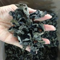Dried Black Fungus with 2.5CM above