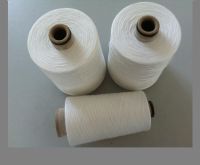 sell raw material polyester spun SIRO yarn 30/1 manufacturer