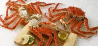 Frozen king crab