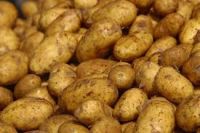 fresh irish potato