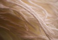 Premium Natural Sisal / Wool / Rubber fibre