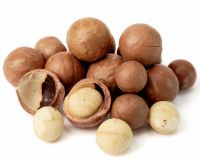 Raw Macadamia Nuts in shell