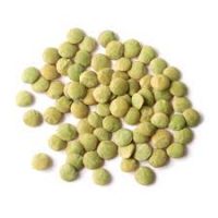 Green lentils seed for Sale