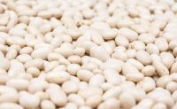 Dried White Haricot Beans Navy Beans Natural Cooking Canned White Kidney Dried Beans