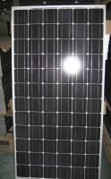 Sell Solar Module