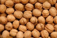 Nuts & Kernels >> Walnuts