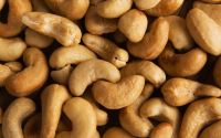 Agriculture >> Nuts & Kernels >> Cashew Nuts
