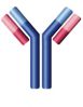 Sell antibody and conjugate of antibiotic and veterinary drugs