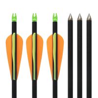 Fiberglass Arrows 33" Innerpolate Tips Archery Hunting Target Shooting for Compound Bow