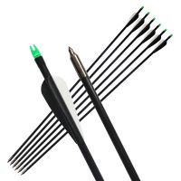 Archery Cool Style 33" Fiberglass Arrows Explosion Proof Tail for Recurve and Compound Bows