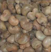 Raw Cashew Nuts From Nigeria