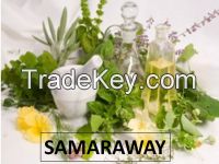 Jordanian thyme for sell