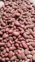 Potatoes red/white from Pakistan