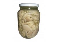 Canned White oyster mushroom