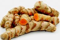 FRES TUMERIC/  CURCUMA LONGA/ CURCUMA DOMESTICA/ HALDI/ HARIDRA/ KUNYIT/ CURCUMA/ MAJAL