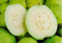 FRESH GUAVA