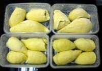 FROZEN DURIAN/ FROZEN CIVET FRUIT/ FROZEN DURIO ZIBETHINUS