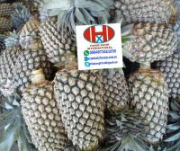 BEST PRICE FOR PINEAPPLE