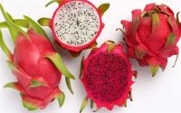 Fresh Dragon Fruit