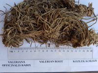 SELL VALERIAN ROOTS