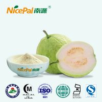 Fruit powder guava powder with competitive price