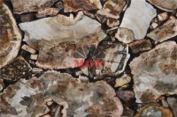 Selling natural marble petrified wood stone board vanity tops