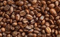 VIETNAMESE ROBUSTA GREEN COFFEE