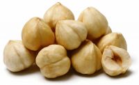 Raw Hazelnuts Kernels in Shell, Hazelnuts / Filberts