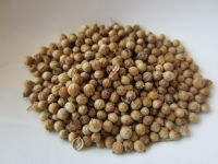 100% Natural High Quality Raw Material Spice Coriander Seed