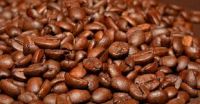 Coffee Beans - Raw Robusta Coffee Beans