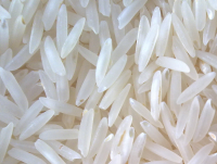 Basmati rice