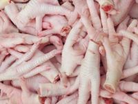 Grade A Processed Frozen Chicken Paws global exporters