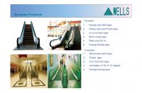 Escalator of Public Transport Type