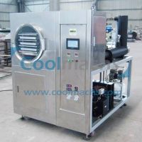 Sell FD-0.5 pilot freeze dryer for FD food products