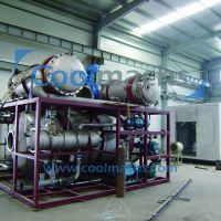 Sell FD-100 freeze dryer for freeze drying vegetables fruits and other food products