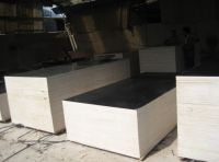 Sell Black Film Face Plywood
