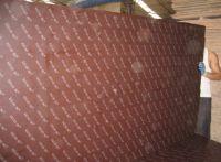 Sell betoforms, betofilm, panels, Brown Film Face Plywood