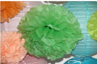 Hanging Wedding Party Decoration Paper Flower Tissue Paper Pompoms