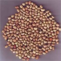 Black Eyed Peas (Brown)