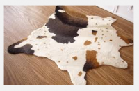 Wet Salted Cow Hide And Donkey Animal Skins Hides